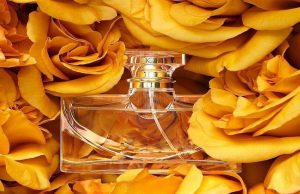 عطر های مناسب فصل پاییز